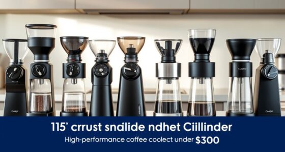 affordable precision coffee grinders