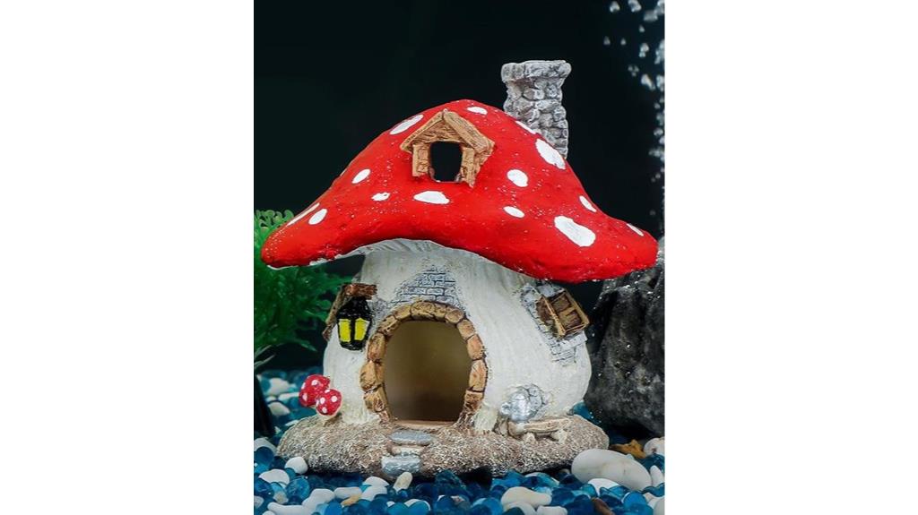 aquarium mushroom fish house