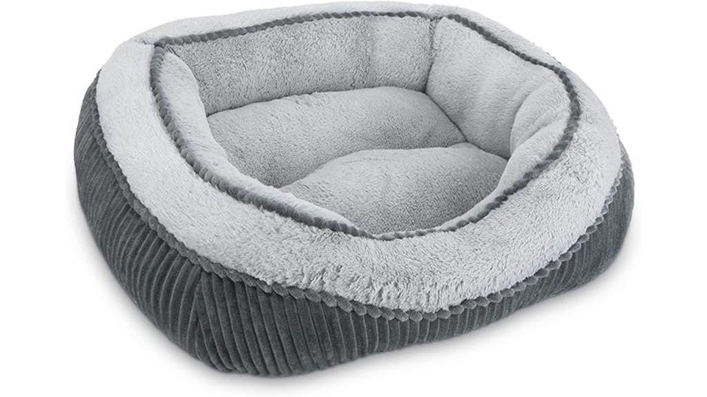 dog and cat bed sizes