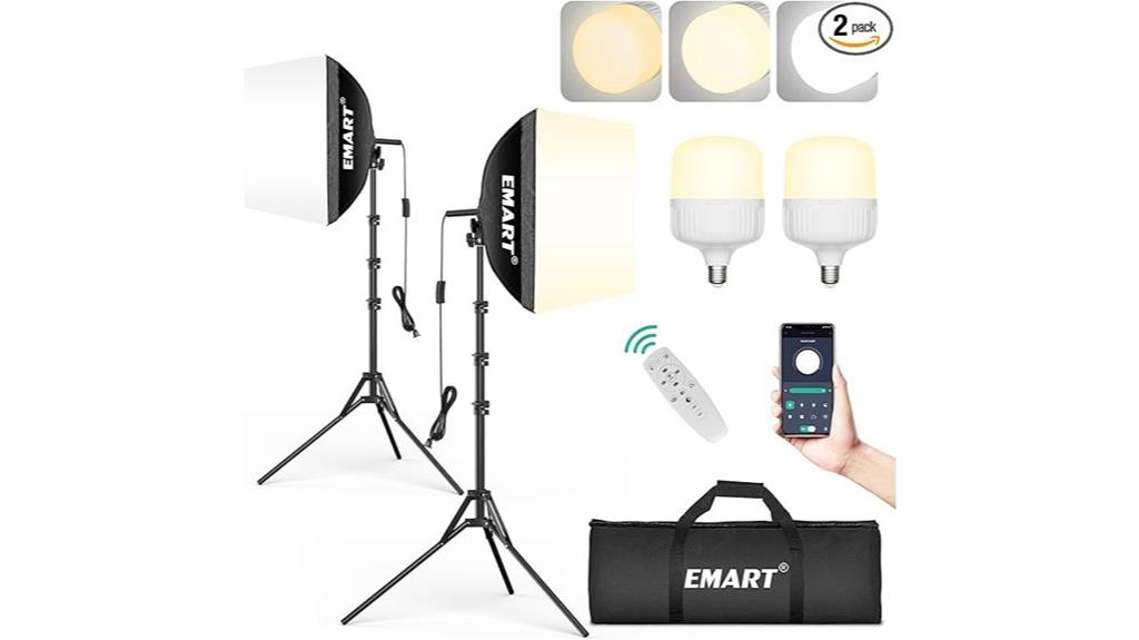 dual softbox lighting kit