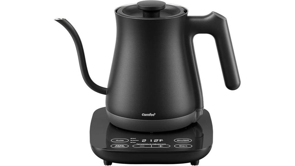 electric kettle with temperature control