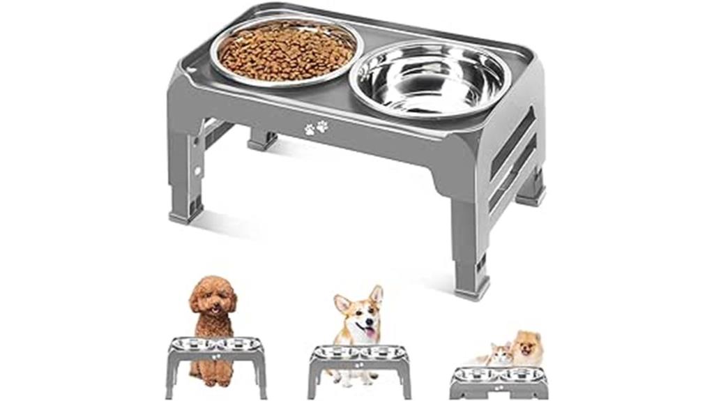 elevated bowls for small dogs