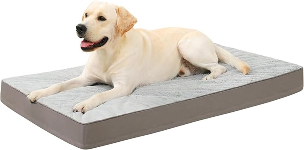 orthopedic egg crate bed