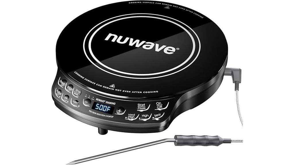 portable induction cooktop probe