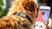 top 15 lte pet trackers
