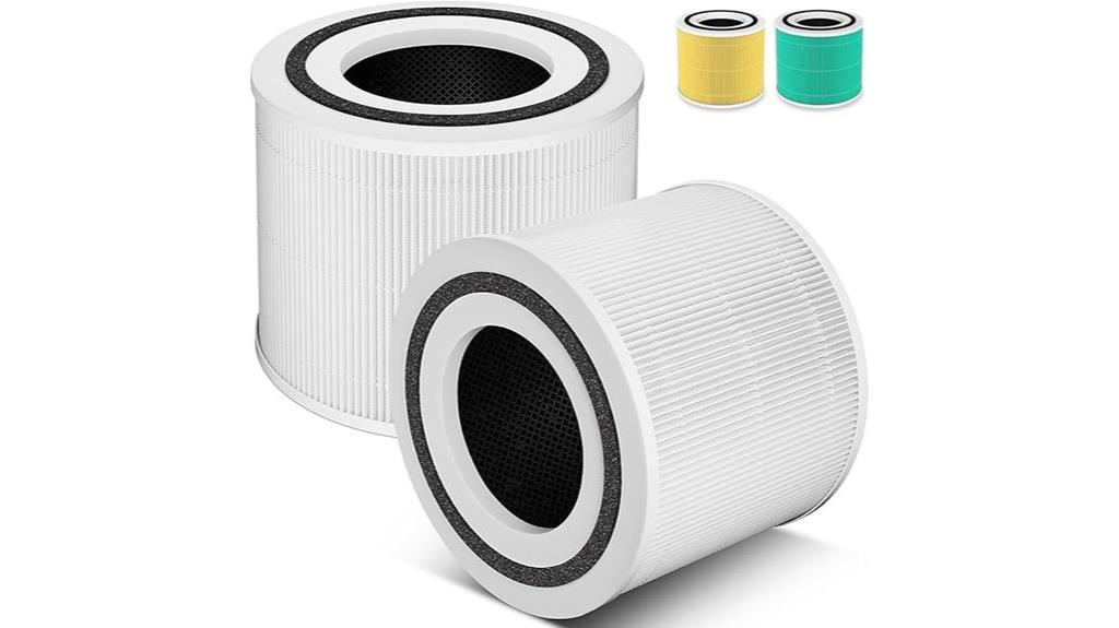 two hepa filters pack