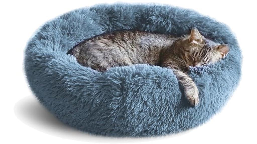 versatile bed for cats and dogs