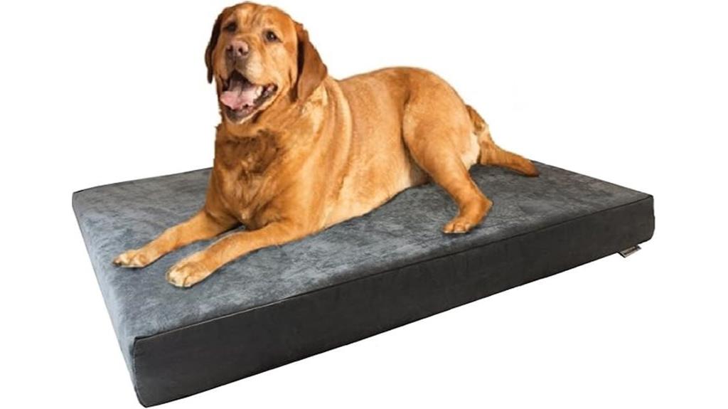 xl memory foam dog bed