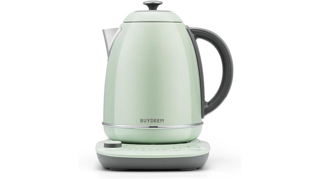 temperature controlled electric kettle
