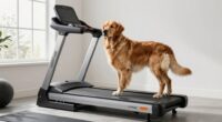 best large dog treadmills