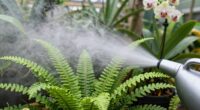 choosing humidity control devices