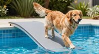 dog pool ramp reviews