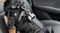 dog safety harness features