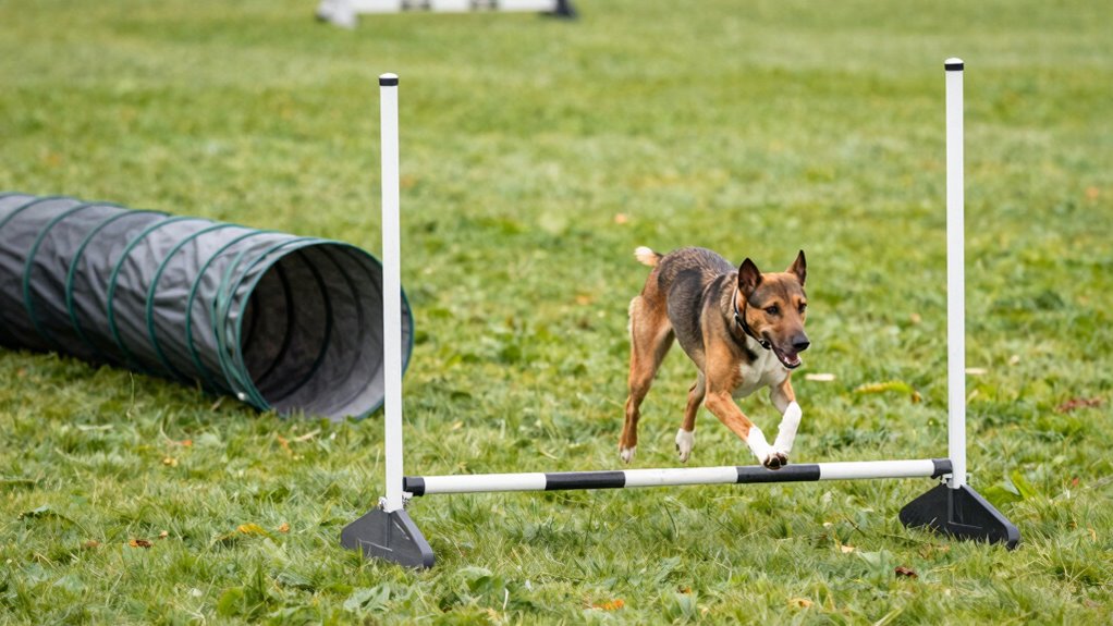 focus on controlled precise movement