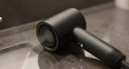 gentle grooming dryer sounds