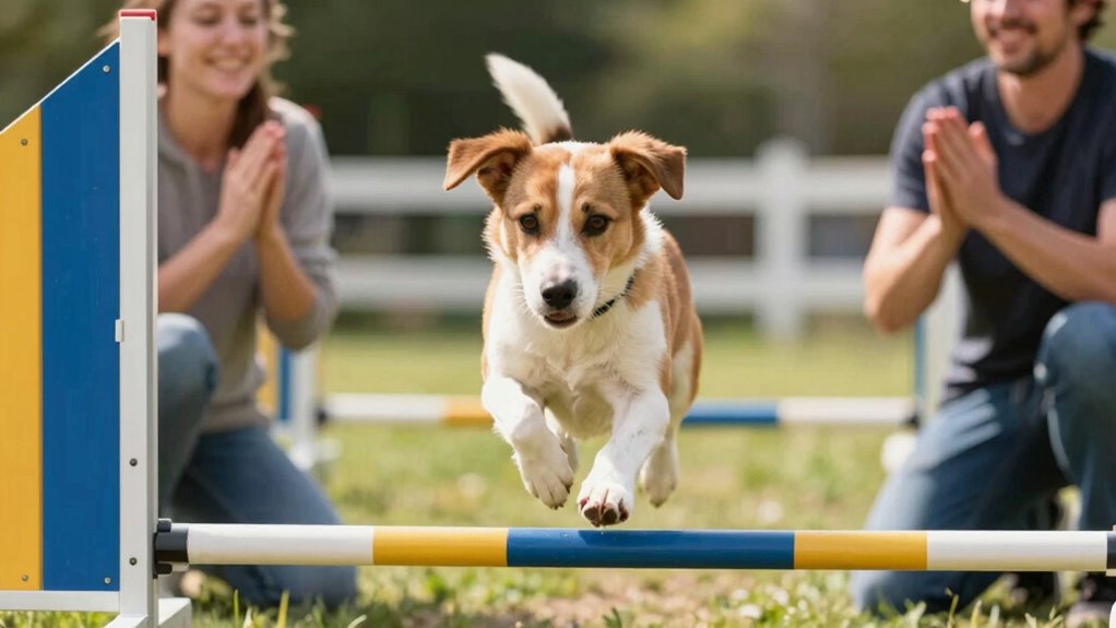 inconsistent training reduces confidence