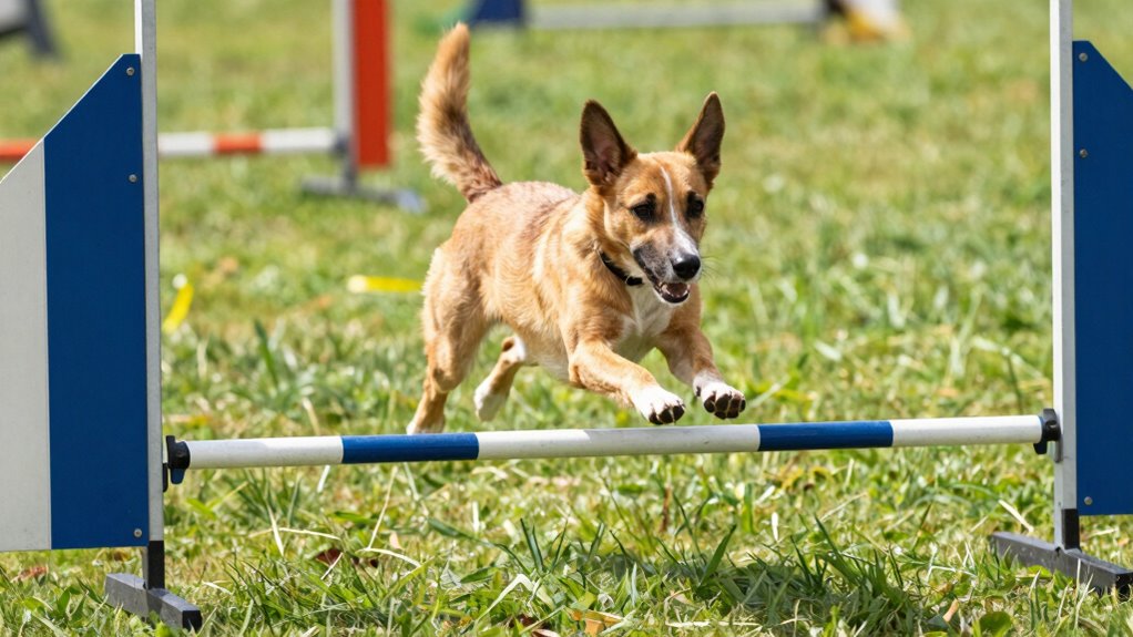 monitor progress and adapt