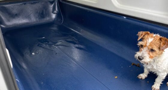 pet cargo liners waterproof claims