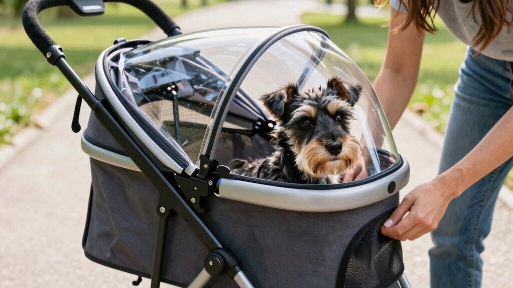 seek veterinary advice promptly