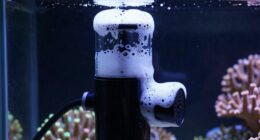 skimming foam removes impurities