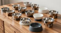 top adjustable dog bowls