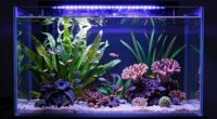 top aquarium led lighting