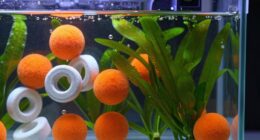 top aquarium media reactors