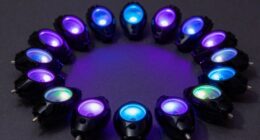 top bird uv light picks