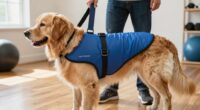 top canine rehab slings