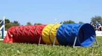 top competition agility tunnels