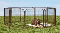 top heavy duty dog playpens