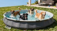 top heavy duty dog pools