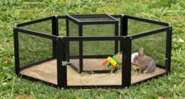 top heavy duty rabbit enclosures