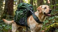 top hiking dog backpack picks