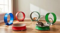 top indoor cat exercise wheels