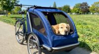 top large dog bike trailers