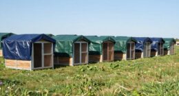 top outdoor kennel options