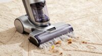 top pet stain carpet cleaners