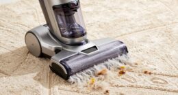 top pet stain carpet cleaners