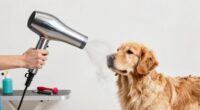 top professional dog dryers