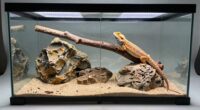 top reptile enclosures 2026