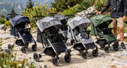 top rugged pet strollers
