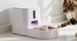top wet food dispensers