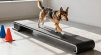 balance over speed focus