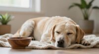 calm simplify focus soothe