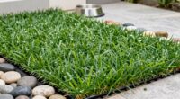 cleaning and maintaining artificial grass