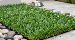 cleaning and maintaining artificial grass