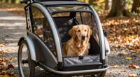 dog bike trailer training