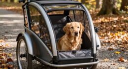 dog bike trailer training