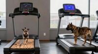 dog exercise equipment comparison